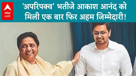 Up Politics Mayawati के भतीजे की री एंट्रीएक बार फिर मिली