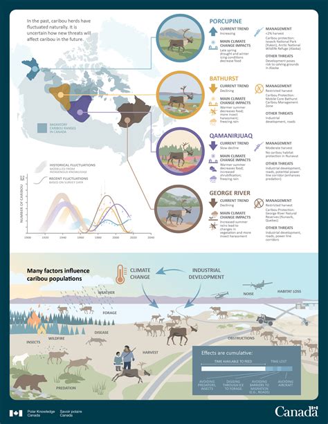 Caribou abundance and migration - Canada.ca