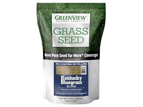 The 9 Best Kentucky Bluegrass Grass Seed of 2024 (Reviews) - FindThisBest