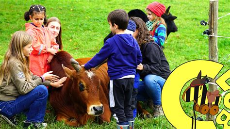 Gemeinsam Auf Dem Bauernhof Tigerenten Club Sendungen SWR Kindernetz