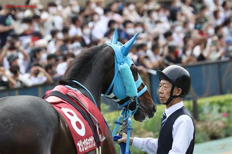 ぺんぎんさん🐧 On Twitter 戦友 20221016東京9r 東京ハイジャンプ 8オジュウチョウサン ステイゴールドの息子さん お