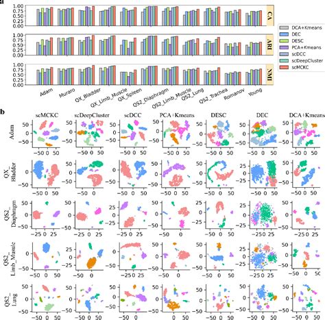 Figure 2 From Deep Multi Constraint Soft Clustering Analysis For Single Cell Rna Seq Data Via