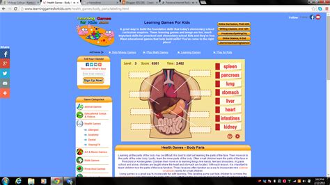 Labeling Games For Anatomy