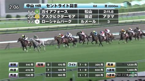 【919 セントライト記念ほか】中山ダイジェストjraレース結果 競馬予想動画 Netkeiba