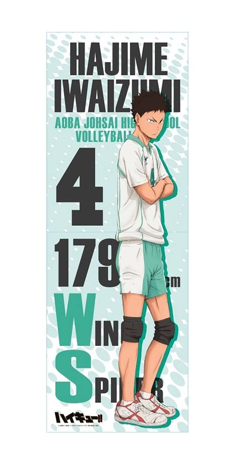 Haikyu Retractable Long Holder Hajime Iwaizumi Hlj