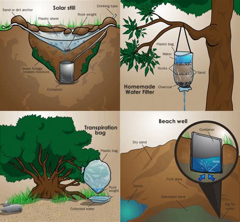 How To Find Water Survivalpreppingfood Survival Techniques Survival