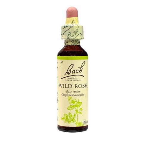 Fleurs De Bach Original Flacon 20ml Wild Rose Eglantier