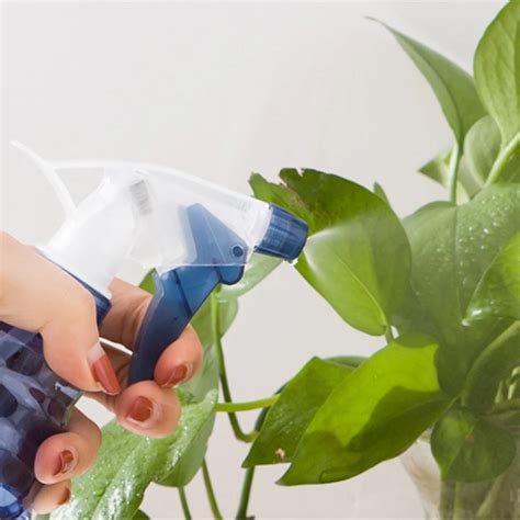 Pulvérisateur Pulvérisateur de plantes en plastique Pot d arrosage de