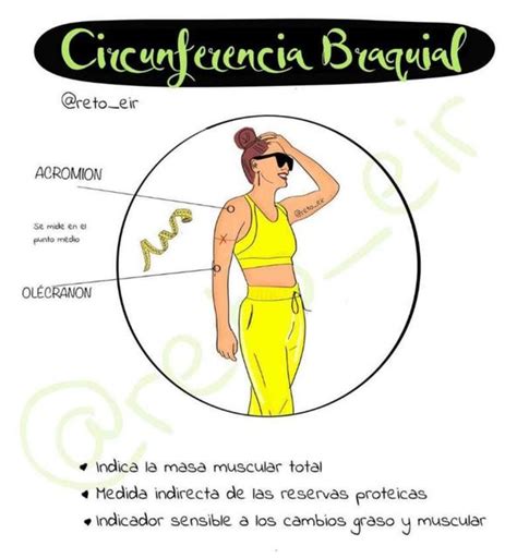 Circunferencia Braquial YUDOC ORG UDocz