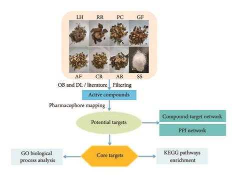 The Schematic Illustration Of Network Pharmacology Analysis Download Scientific Diagram