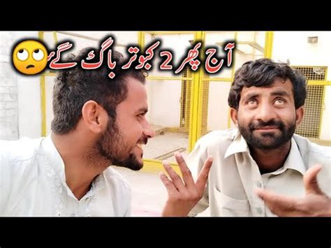 Aaj Phir Kaboter Bhaag Gay YouTube