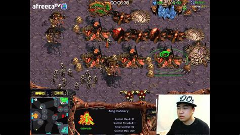 Starcraft Brood War Map Editor Faregross