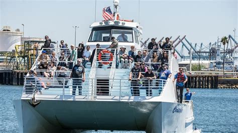 Whale Watching Cruise Gallery Harbor Breeze Cruises