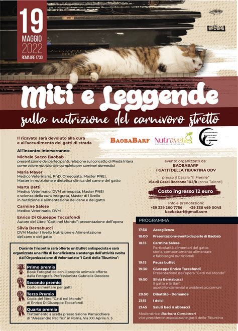 Eventi Miti E Leggende 19 Maggio 2022 I Gatti Della Tiburtina