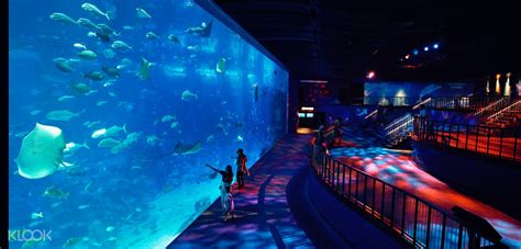 Book Sea Aquarium Sentosa Singapore Ticket Online