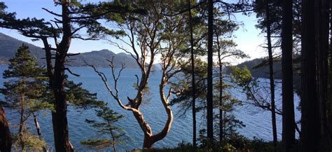 indralaya  theosophical center committed  community  spiritual