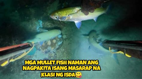 Ep Mga Mullet Fish Naman Ang Nagpakita Isang Masarap Na Klasi Ng