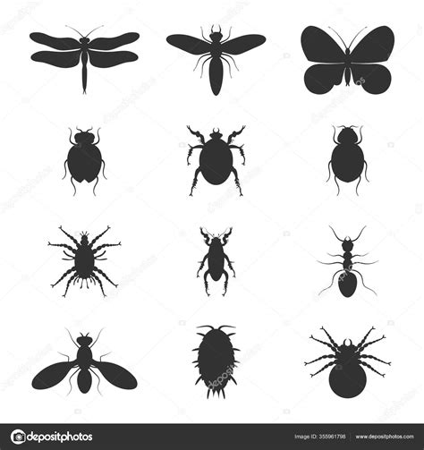 Illustration With Insect Silhouettes Isolated On White Background Stock