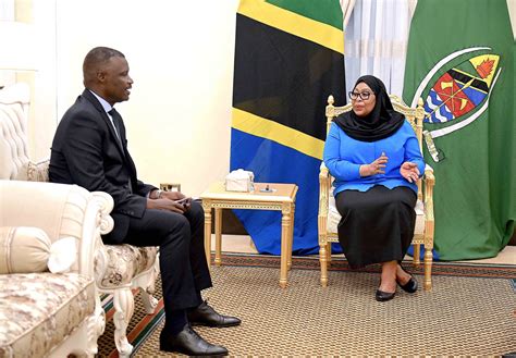 Rais Samia Akutana Na Kuzungumza Na Balozi Wa Rwanda Anayemaliza Muda