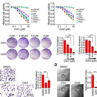 Inhibition Of Prostate Cancer Tumor Growth By COUP TFII Inhibitor CIA1