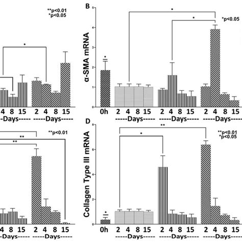 The effects of L. plantarum and the combination of L. rhamnosus and B.... | Download Scientific ...