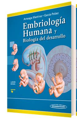 Imagen Del Libro Embriolog A Humana Y Biolog A Del Desarrollo