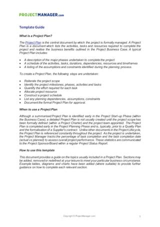 Project Manager Project Plan Template Cm PDF