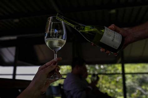 Saiba Onde Encontrar Um Dos Melhores Vinhos Cervejas Queijos E