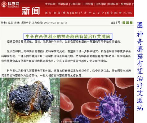 科学网—环境微生物及其与人类之关系 王从彦的博文