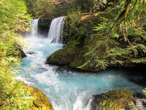 White Salmon River | Native Fish Society