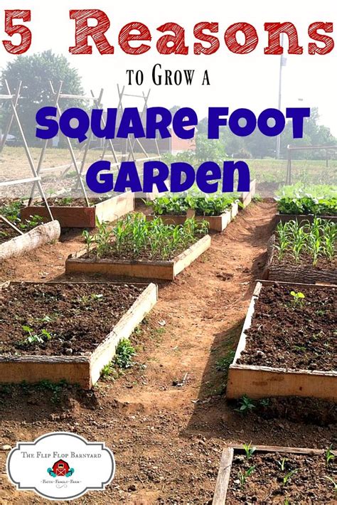 5 Convincing Reasons Square Foot Gardening Is Awesome Plus 3 Bonus Reasons Square Foot