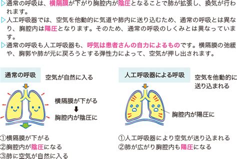 人工呼吸療法とは？ 看護roo [カンゴルー]