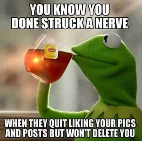 You Know You Done Struck Nerve When They… - MemeScout