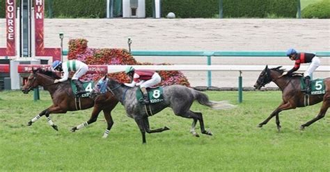 【2024 マーメイドs（g3）】日刊馬番コンピ指数分析予想篇｜haya