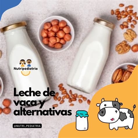 Leche de vaca y alternativas a la leche de vaca sabías que