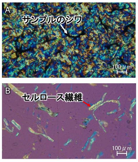 基礎解説 機器分析 先進セルロース材料共同研究講座