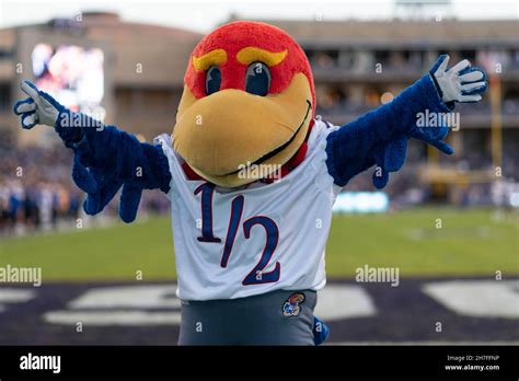 Tcu horned frogs mascot hi-res stock photography and images - Alamy