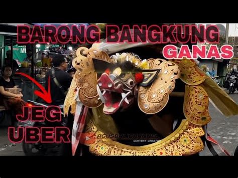 Ngelawang Barong Bangkung Super Galak Dan Ganas Bajera Saraswati