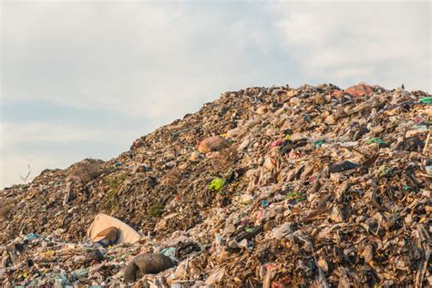 è fatta una discarica di rifiuti a norma Teknoring