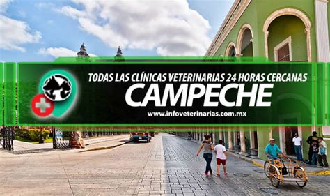 Mejores Veterinarias En CampecheAbiertas 24 Horas