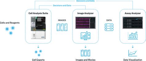 Beacon Quest Optofluidic System Bruker Cellular Analysis