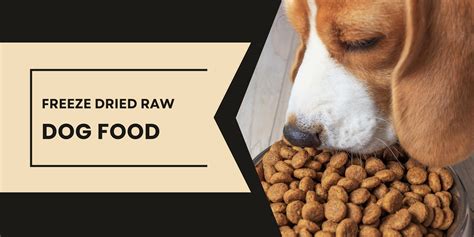 FREEZE DRIED RAW DOG FOOD | German Shepherd Place