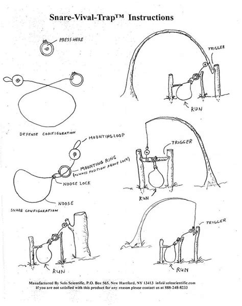 Step By Step Guide To Snares