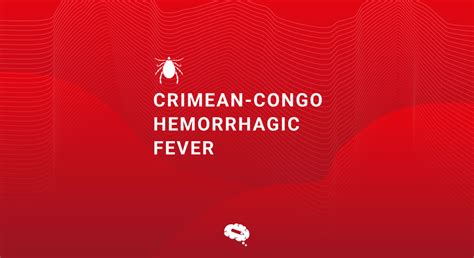 Crimean Congo Hemorrhagic Fever As Deadly As Its Name Sounds