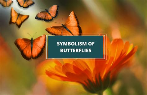 Powerful Symbolism Of Butterflies From Around The World