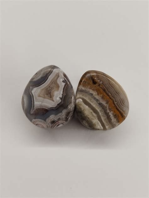 Crazy Lace Agate Plugs Etsy