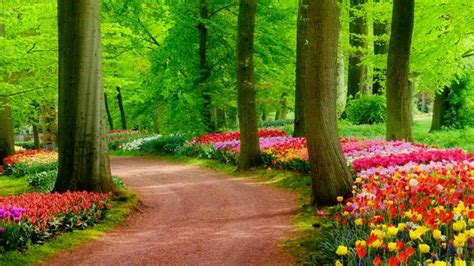 nature hd images  wallpaper  keren