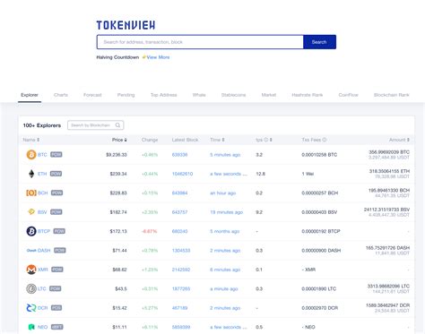 Top 100 Richest Bitcoin BTC Addresses Holders Tokenview Block Explorer