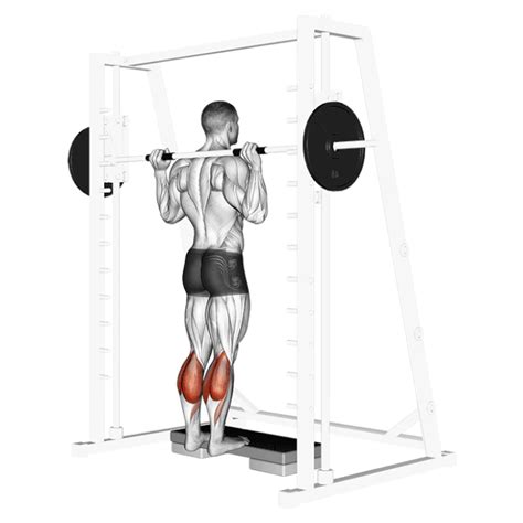 Extensions des Mollets Debout à la Smith Machine Comment et Pourquoi