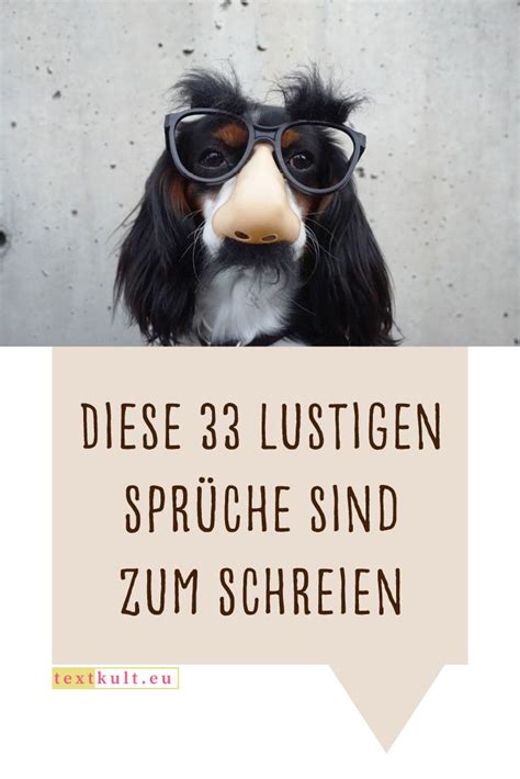 Lachen Bringen Lustige Bilder Mit Coolen Sprüchen